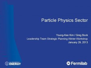 Particle Physics Sector YoungKee Kim Greg Bock Leadership