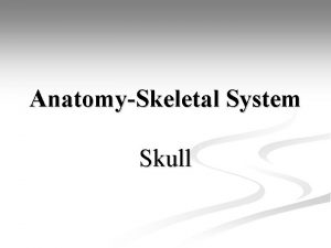 AnatomySkeletal System Skull AnatomySkeletal System Bell Work Grab