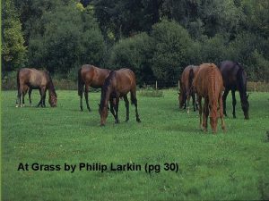 At Grass by Philip Larkin pg 30 At