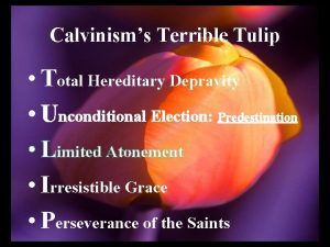 Calvinisms Terrible Tulip Total Hereditary Depravity Unconditional Election