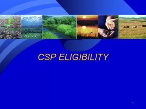 CSP ELIGIBILITY 1 OBJECTIVES Review Applicant Eligibility Participant