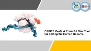 CRISPR Cas 9 A Powerful New Tool for