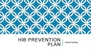 HIB PREVENTION PLAN Sydney Feinberg HIB POLICY OVERVIEW