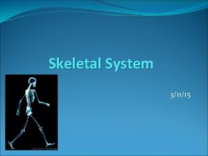 Skeletal System 31115 Skeletal System has five functions