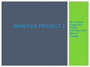 GENETICS PROJECT 2 By Jessica Dagenhart Hallee Robinson