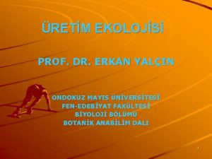 RETM EKOLOJS PROF DR ERKAN YALIN ONDOKUZ MAYIS