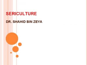 SERICULTURE DR SHAHID BIN ZEYA Discovery of silk
