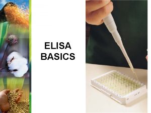 ELISA BASICS ELISA Enzyme Linked ImmunoSorbent Assay ELISA