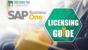 To use SAP Business One every user requires