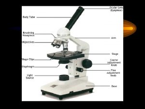 Microscopy I Light Microscope A Components 1 Light