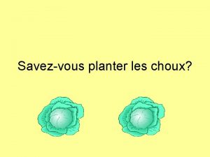 Savezvous planter les choux Savezvous planter les choux