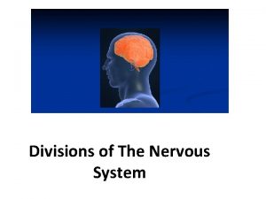 Divisions of The Nervous System Click me Click