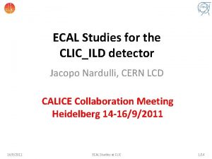 ECAL Studies for the CLICILD detector Jacopo Nardulli