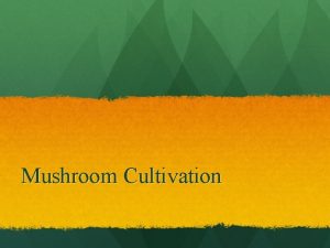Mushroom Cultivation Mushrooms in History Mushrooms have been