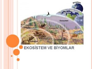 EKOSSTEM VE BYOMLAR BYOM VE EKOSSTEM Biyom biyosferin