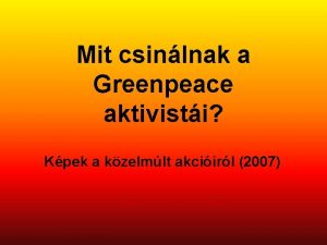 Mit csinlnak a Greenpeace aktivisti Kpek a kzelmlt