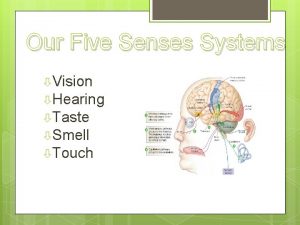 Our Five Senses Systems Vision Hearing Taste Smell