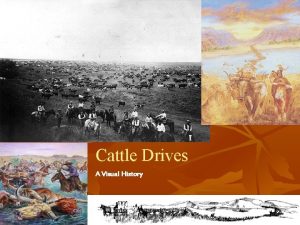 Cattle Drives A Visual History Beginnings of the