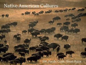 Native American Cultures SW Pacific Coast Great Plains