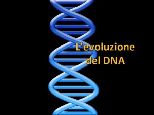 Levoluzione del DNA Condividiamo questa molecola con tutti