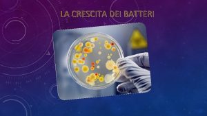 LA CRESCITA DEI BATTERI 1 2 3 4