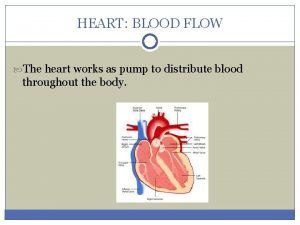 HEART BLOOD FLOW The heart works as pump