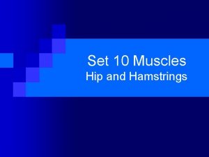 Set 10 Muscles Hip and Hamstrings Hamstring Muscle