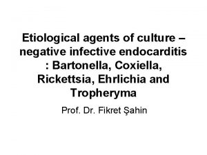 Etiological agents of culture negative infective endocarditis Bartonella