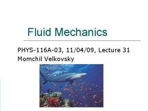 Fluid Mechanics PHYS116 A03 110409 Lecture 31 Momchil