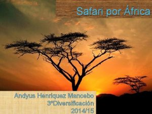 Safari por frica Andyus Henriquez Mancebo 3Diversificacin 201415