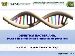 GENTICA BACTERIANA PARTE II Traduccin o Sntesis de