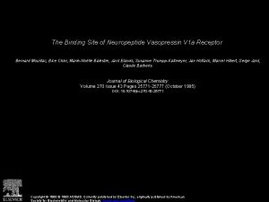 The Binding Site of Neuropeptide Vasopressin V 1