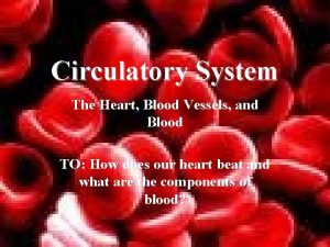 Circulatory System The Heart Blood Vessels and Blood