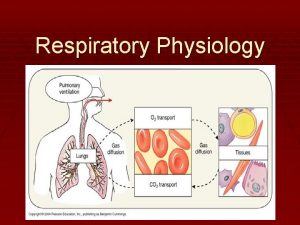 Respiratory Physiology 4 distinct events Pulmonary ventilation air