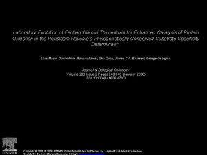 Laboratory Evolution of Escherichia coli Thioredoxin for Enhanced