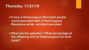 Thursday 112119 Cross a Homozygous Dominant purple round