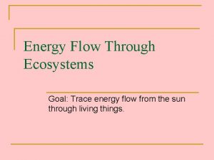 Energy Flow Through Ecosystems Goal Trace energy flow