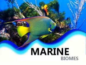 MARINE BIOMES BIOMES A BIOME IS A MAJOR