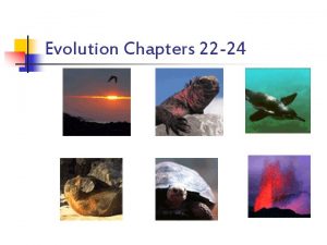 Evolution Chapters 22 24 Evolution n n Change