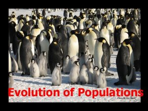 Evolution of Populations Population Genetics Natural Selection nature