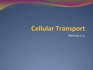 Cellular Transport Section 7 4 Passive Transport Transport