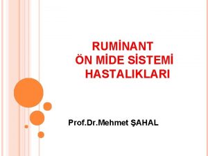 RUMNANT N MDE SSTEM HASTALIKLARI Prof Dr Mehmet