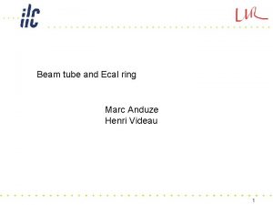 Beam tube and Ecal ring Marc Anduze Henri