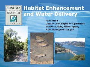 Habitat Enhancement and Water Delivery Pam Jeane Deputy