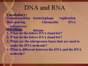 DNA and RNA Vocabulary Transformation bacteriophage replication Base