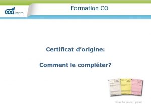 Formation CO Certificat dorigine Comment le complter Nom