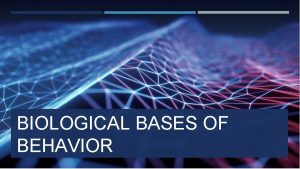 BIOLOGICAL BASES OF BEHAVIOR NEUROANATOMY The study of