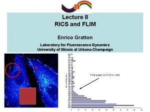 Lecture 8 RICS and FLIM Enrico Gratton Laboratory