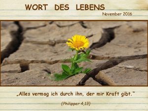 WORT DES LEBENS November 2016 Alles vermag ich