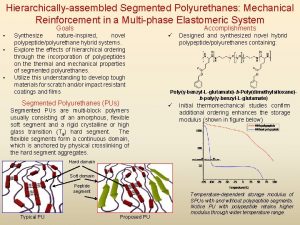 Hierarchicallyassembled Segmented Polyurethanes Mechanical Reinforcement in a Multiphase